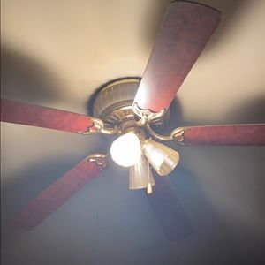 Meet your Posher, Eddie